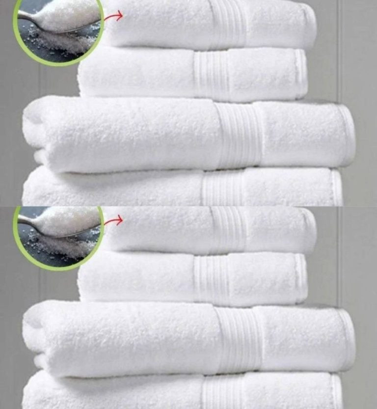 555898006 122196428108544104 4626055405394503561 N